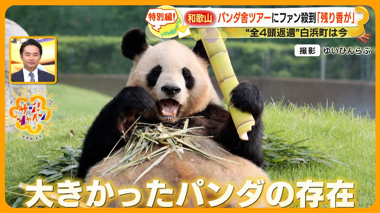 【あのニュース】和歌山パンダ中国に返還から３カ月… パンダ不在の白浜町は今？【サン！シャインニュース】