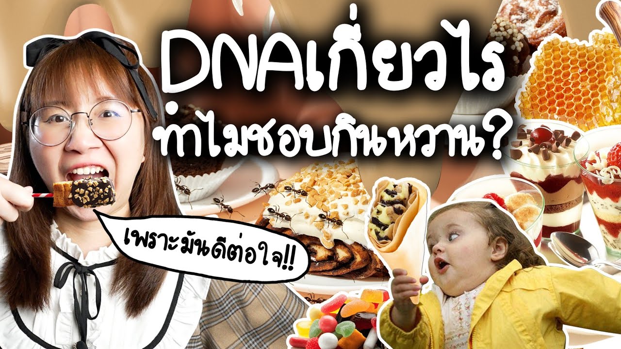 DNA เกี่ยวอะไร ทำไมเราชอบกินของหวาน? #เรื่องง่าย5Minutes | Point of View