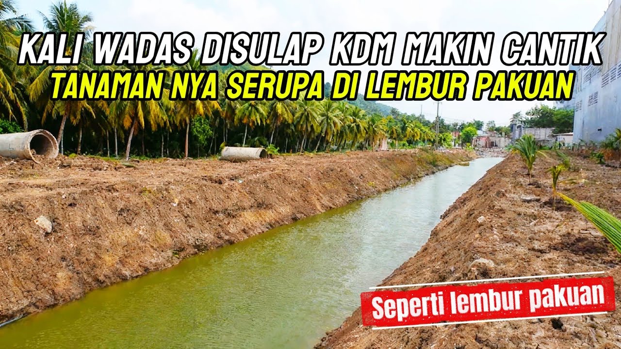 MANTAP‼️SEPERTI LEMBUR PAKUAN TANAMAN YANG DITANAM DI KALI WADAS KARAWANG
