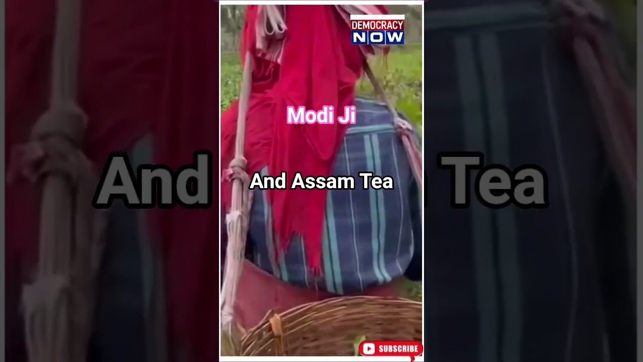 #modi #tea #pmmodi #truedialogue