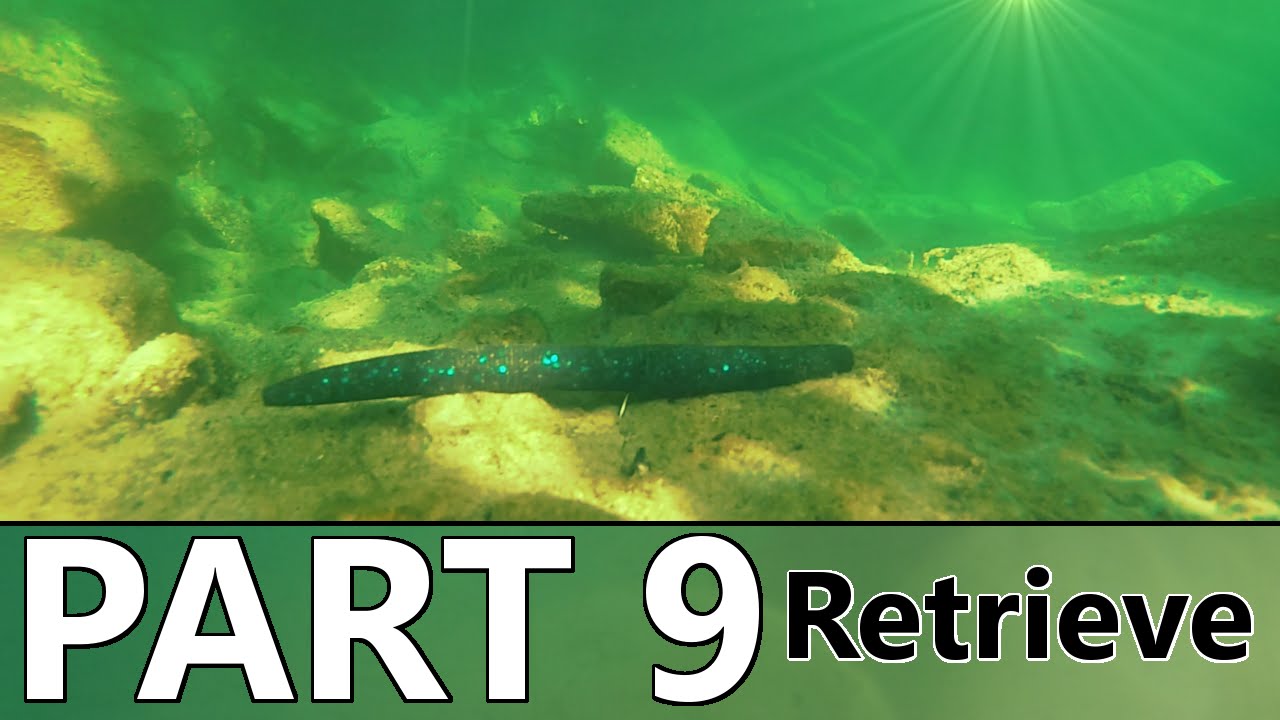 Beginner's Guide to BASS FISHING - Part 9 - The Retrieve and How to Attract Fish