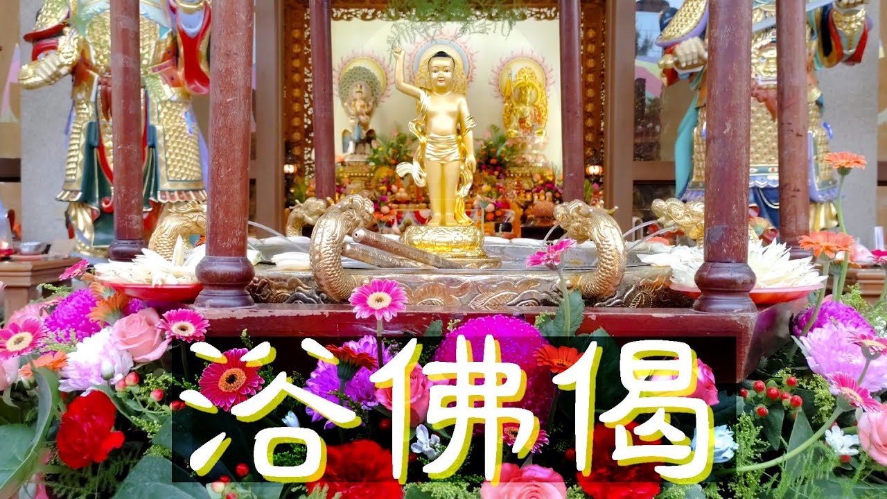 浴佛偈【金甯山寺】Bathing Buddha 好莊嚴的浴佛節 + 瑜伽焰口施食(前行)。日日皆是浴佛日，同步觀想自己浴佛並隨喜讚嘆浴佛者 同享功德。