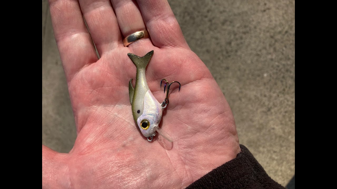 swimbait/crankbait in one!