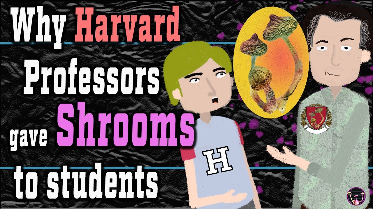 Leary, Alpert & The Harvard Psilocybin Project (pt1)