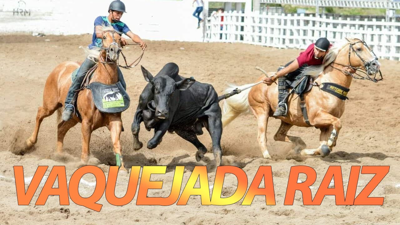 SELE&Ccedil;&Atilde;O VAQUEJADA RAIZ