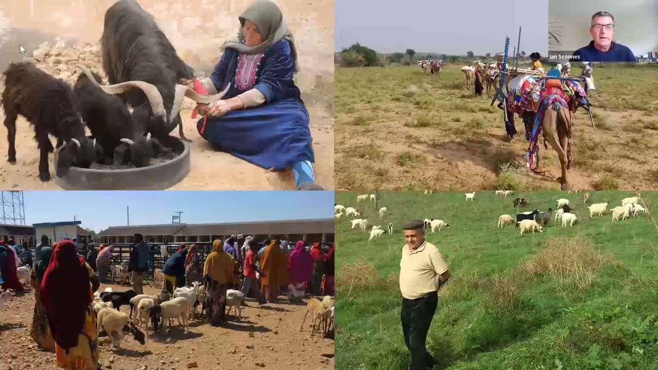 Livestock and climate change: Pastoralism and Uncertainty online course
