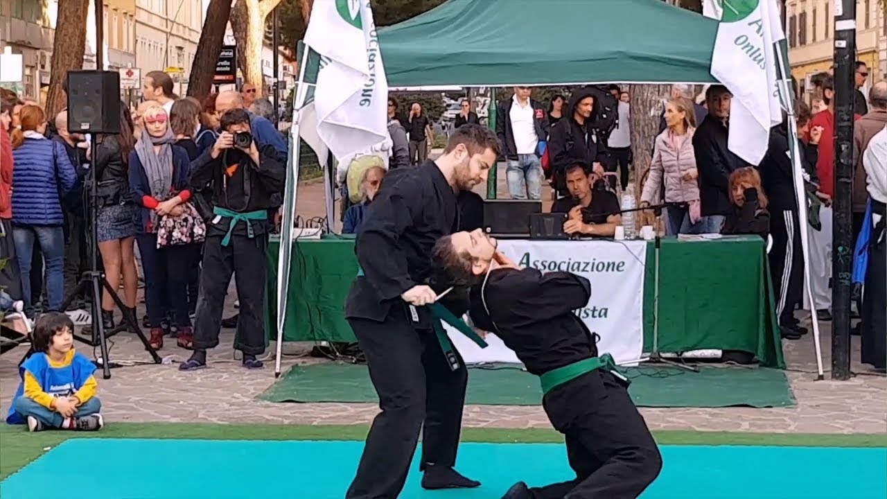 Il Ninjutsu al giorno d'oggi