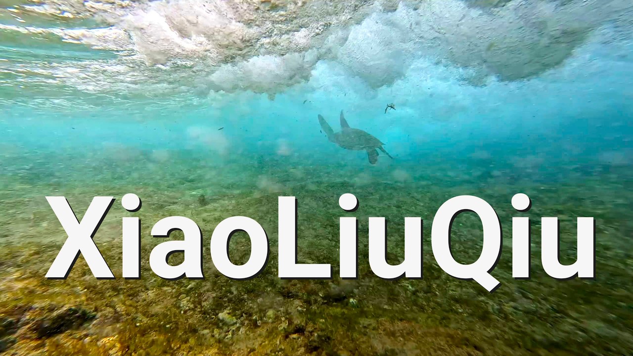 Snorkelling With Green Turtles: XiaoLiuQiu, Taiwan