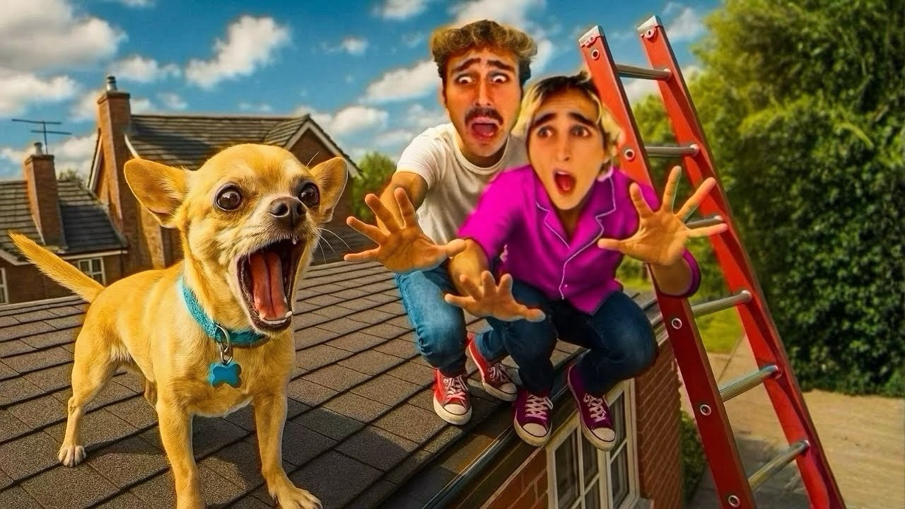 IL NOSTRO CANE È BLOCCATO SUL TETTO…STARÀ BENE? 😭
