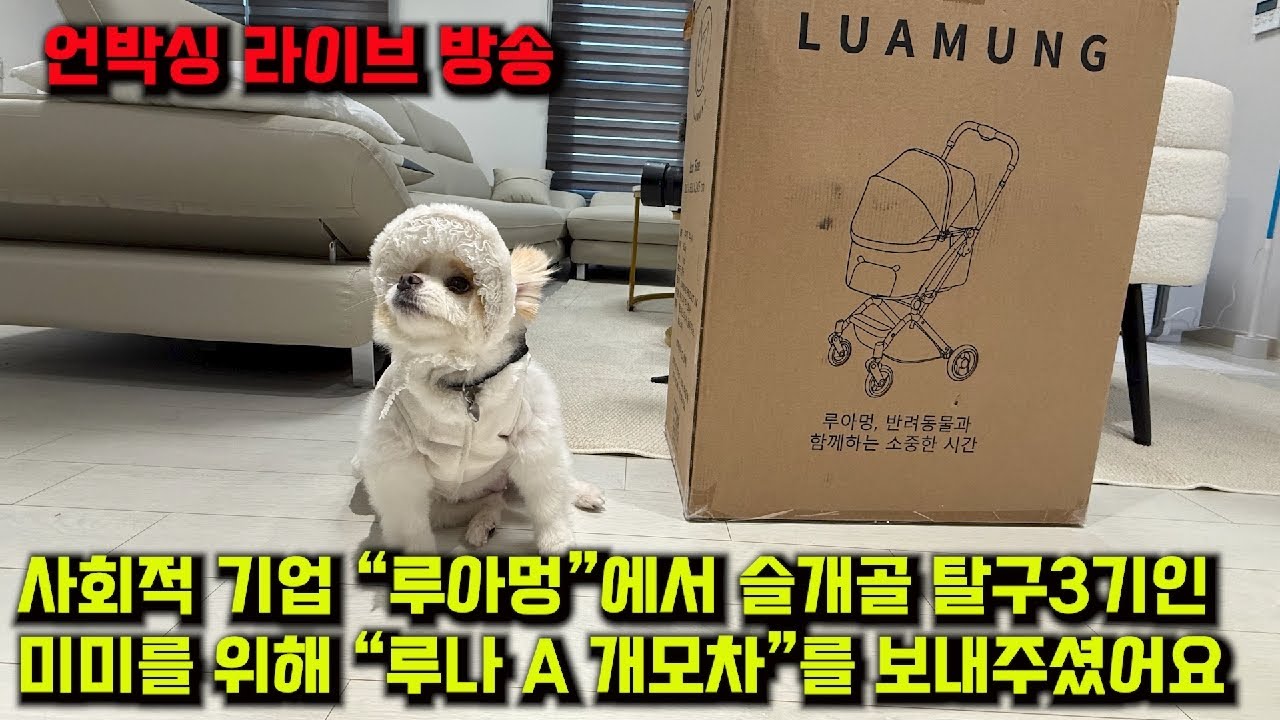사회적 펫브랜드 