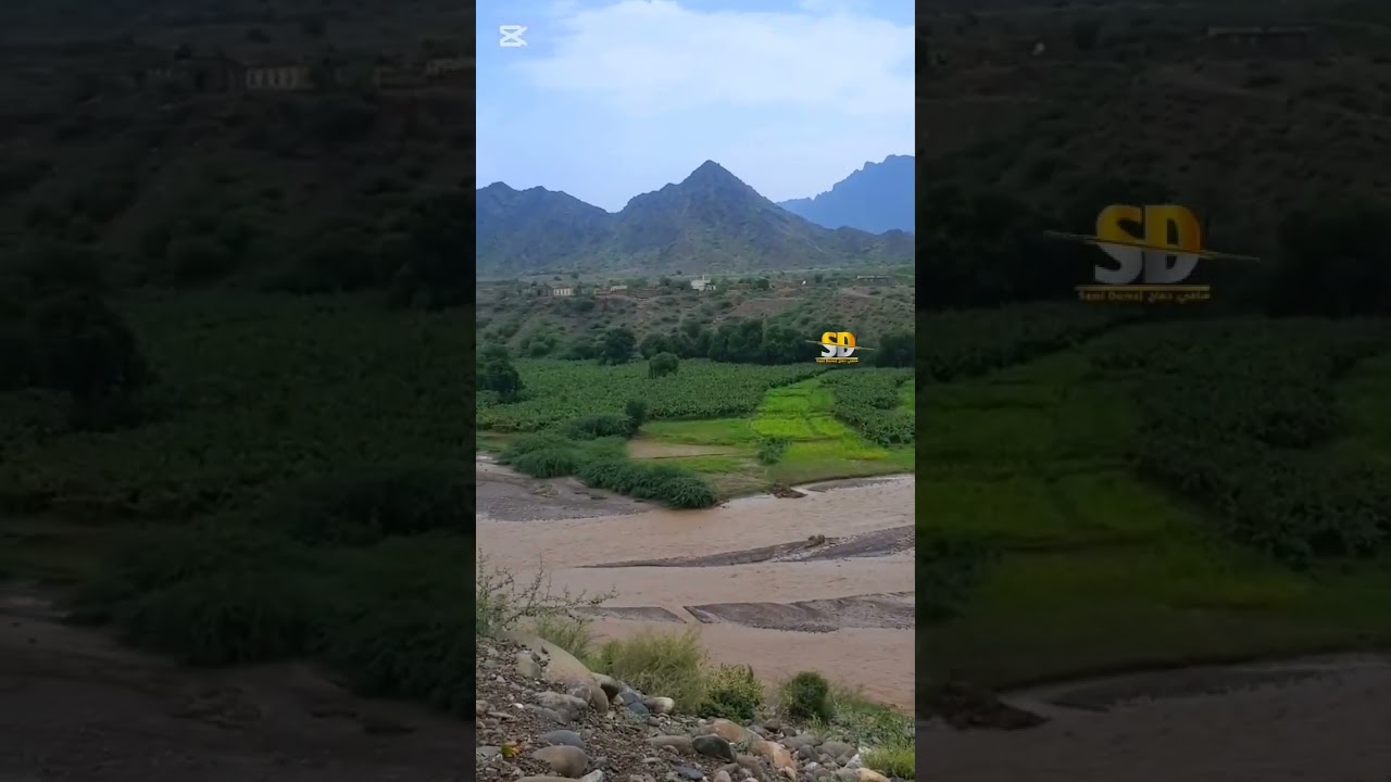 #اليمن #اليمن_عمان_مصر_الجزائر_ليبيا_المغرب_تونس #صنعاء 