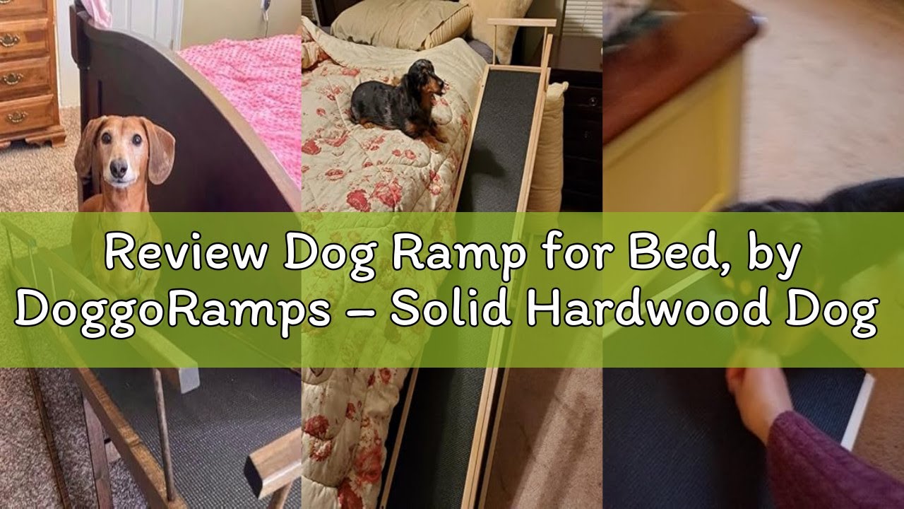 Review Dog Ramp for Bed, by DoggoRamps – Solid Hardwood Dog Ramp for High Beds (Adjustable up to 37