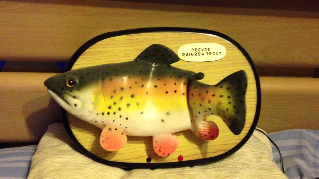 Singing Fish - TREVOR RAINBOW TROUT