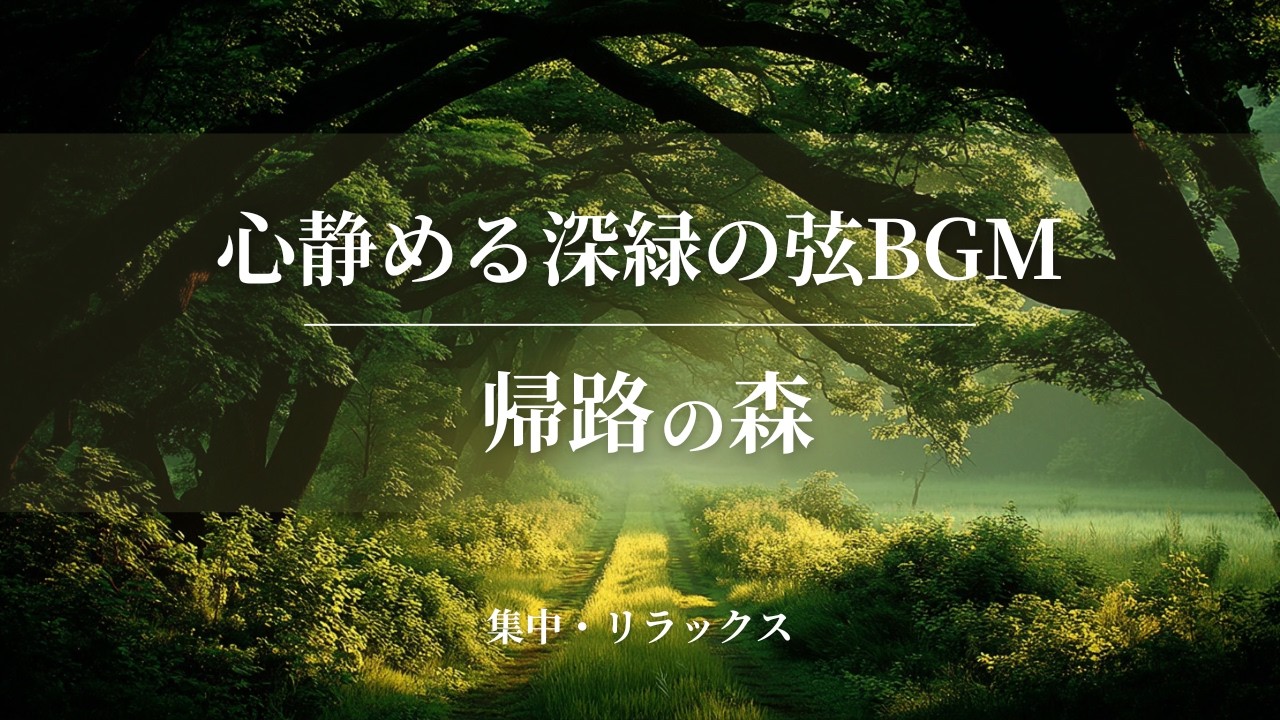 帰路の森 ｜光の奥へ静かに戻る時間 — The Way Back | Focus Music｜作業用BGM