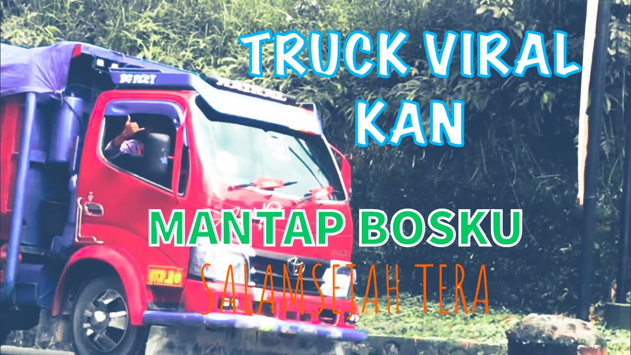TRUCK VIRAL Mantap bosku #lintassumatera #truk #sitinjaulauik #