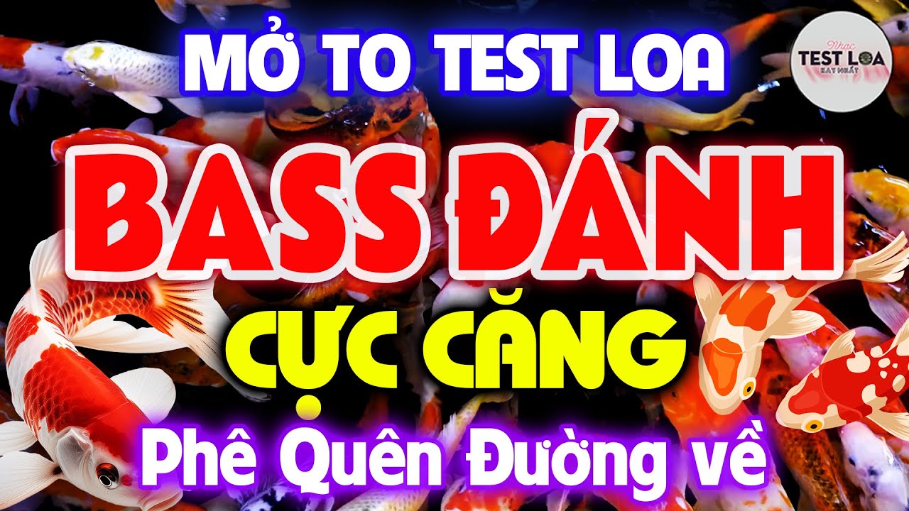 NHẠC TEST LOA 8D CỰC CHUẨN PHÊ QUÊN ĐƯỜNG VỀ, Nhạc Sống Hòa Tấu Disco Remix Không Lời BASS CĂNG ĐÉT