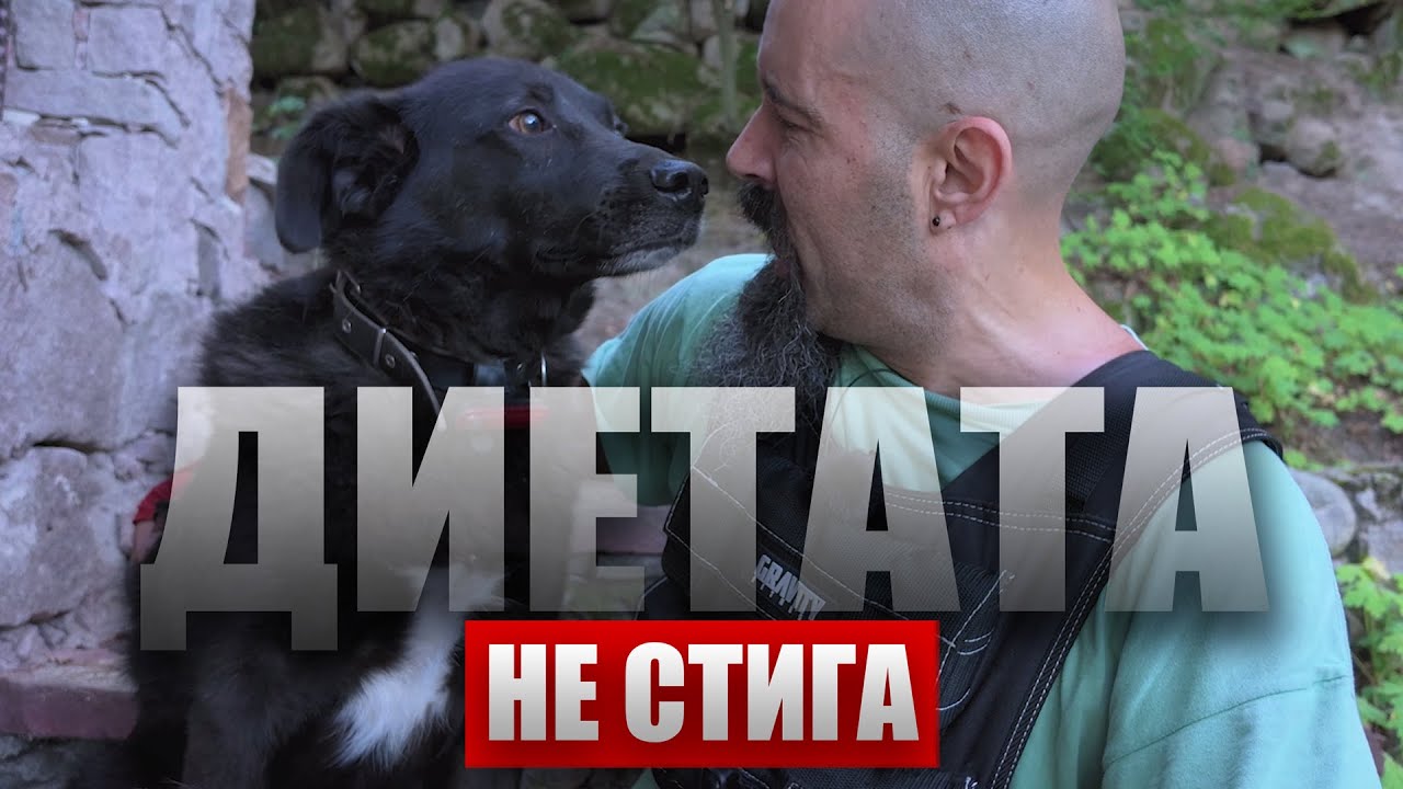 То ся... тва ДОСТАТЪЧНО ЛИ Е? | Юли 2024
