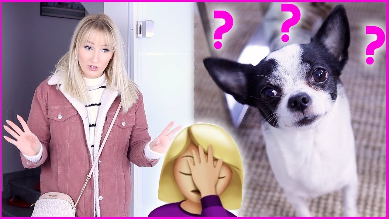 10 BESCHEUERTE Dinge, die Hundebesitzer tun! Machst DU das auch? TheBeauty2go