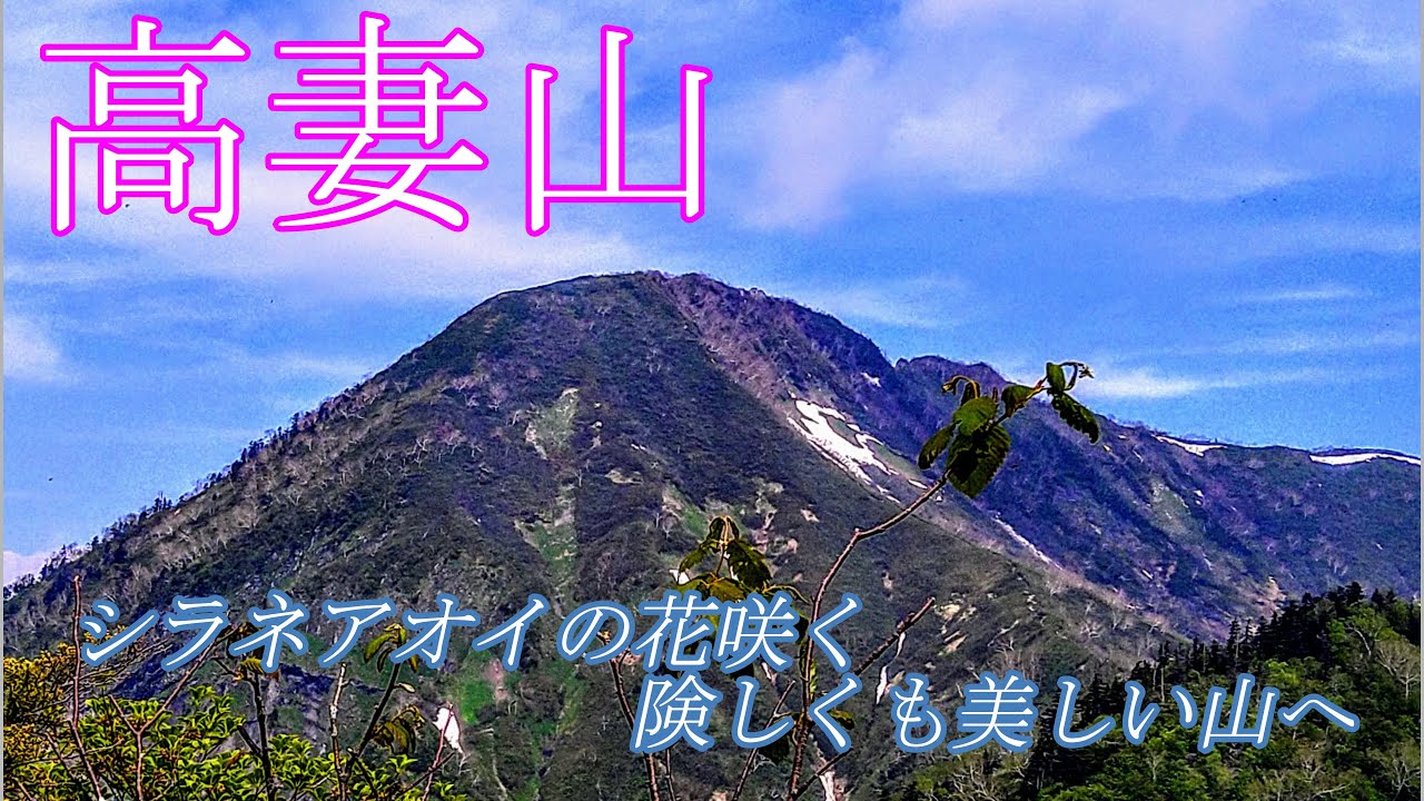 高妻山 シラネアオイの花咲く険しくも美しい山へ　Google Earth Proの地図でわかりやすい登山道案内、動画と写真で百名山の山座同定を