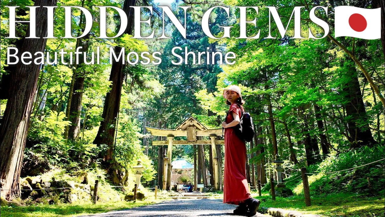 FUKUI🇯🇵 Japan’s Secret Moss Shrine⛩️✨ Hidden Gem in Katsuyama city!!