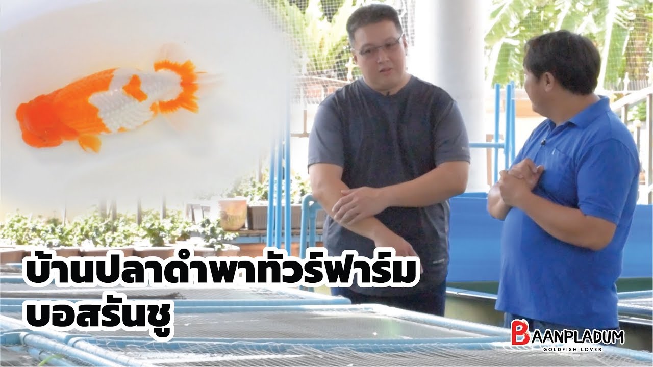 บ้านปลาดำพาทัวร์ฟาร์ม บอสรันชู