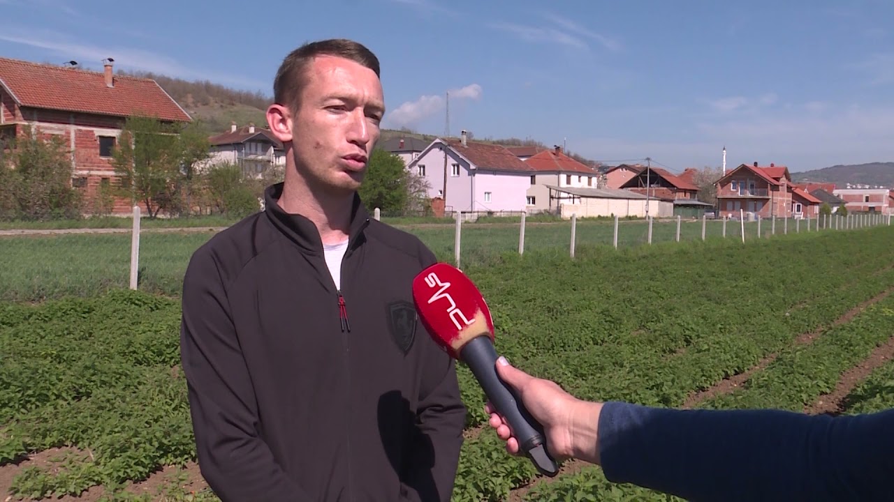 Organska proizvodnja koprive