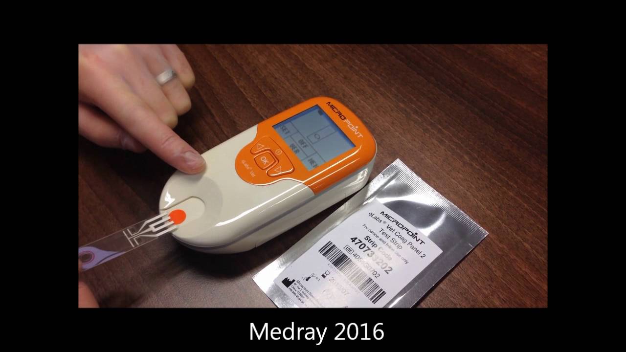 InSight qLabs Veterinary Coagulation Analyser product tutorial video by Medray Imaging Systems