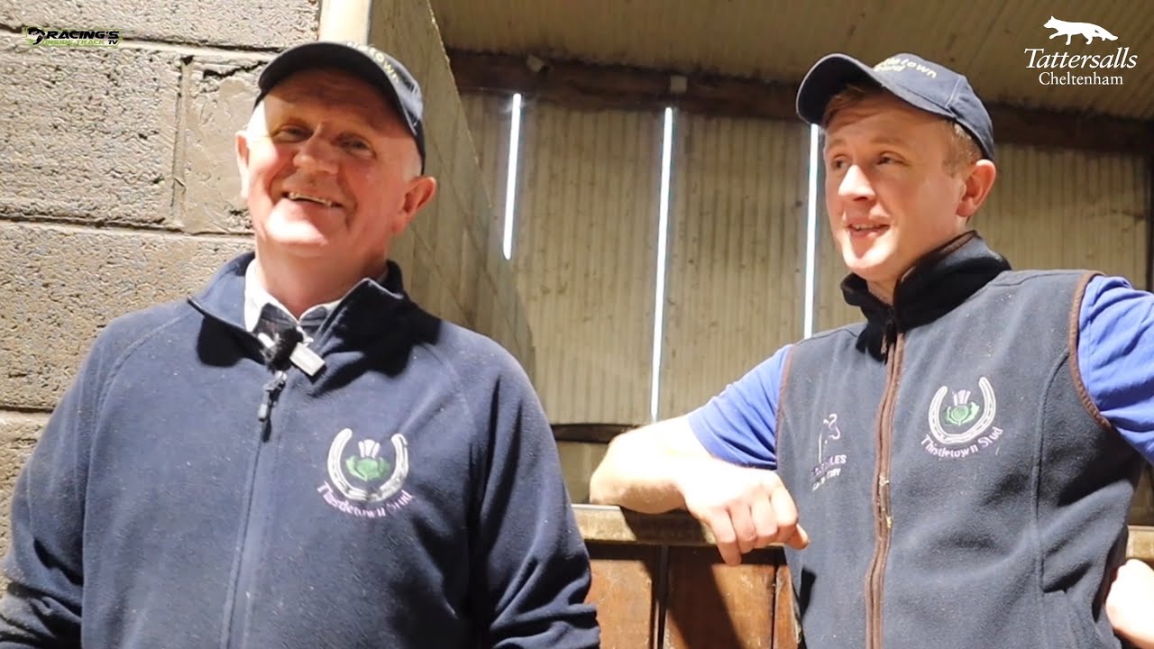 Семья Фурлонг отправляет сильную команду из 15 жеребят на ярмарку жеребят в Таттерсоллс, штат Нью...