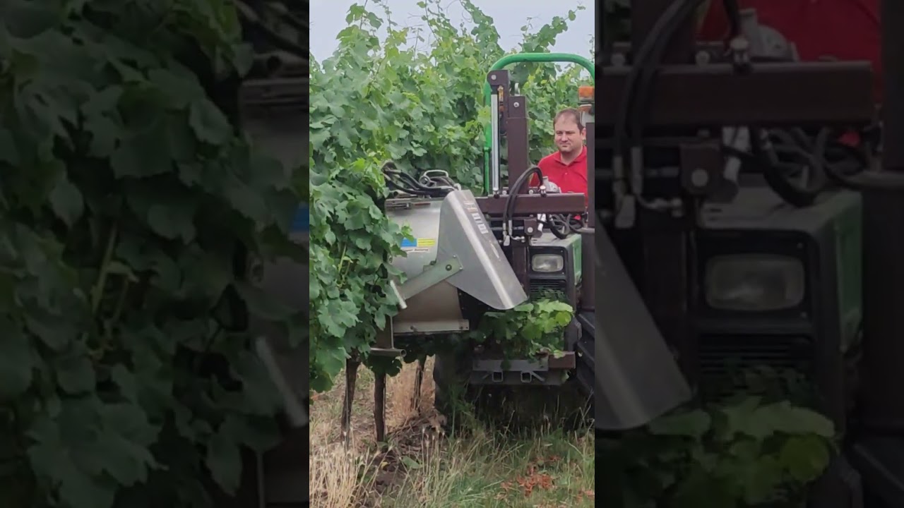 Defoliator Binger EB490 na Holder A50 rok 2023