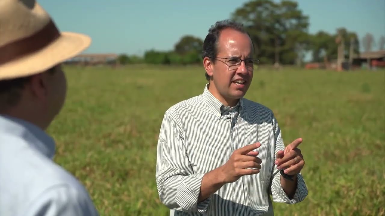 A UTILIZAÇÃO DO MINERAL ADENSADO PARA O DESENVOLVIMENTO DO BEZERRO