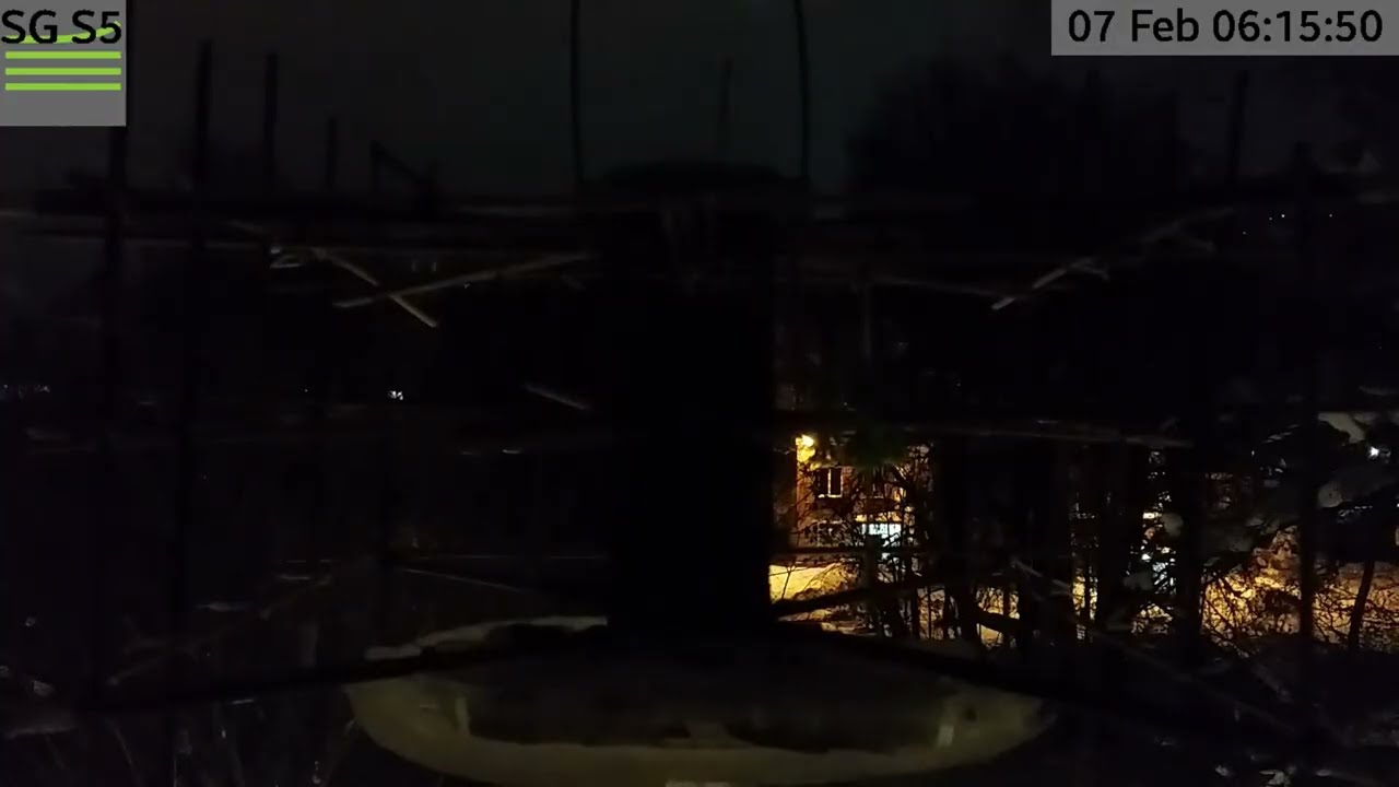 Кормушка 07.02.2026 (моск.область)-10,9*