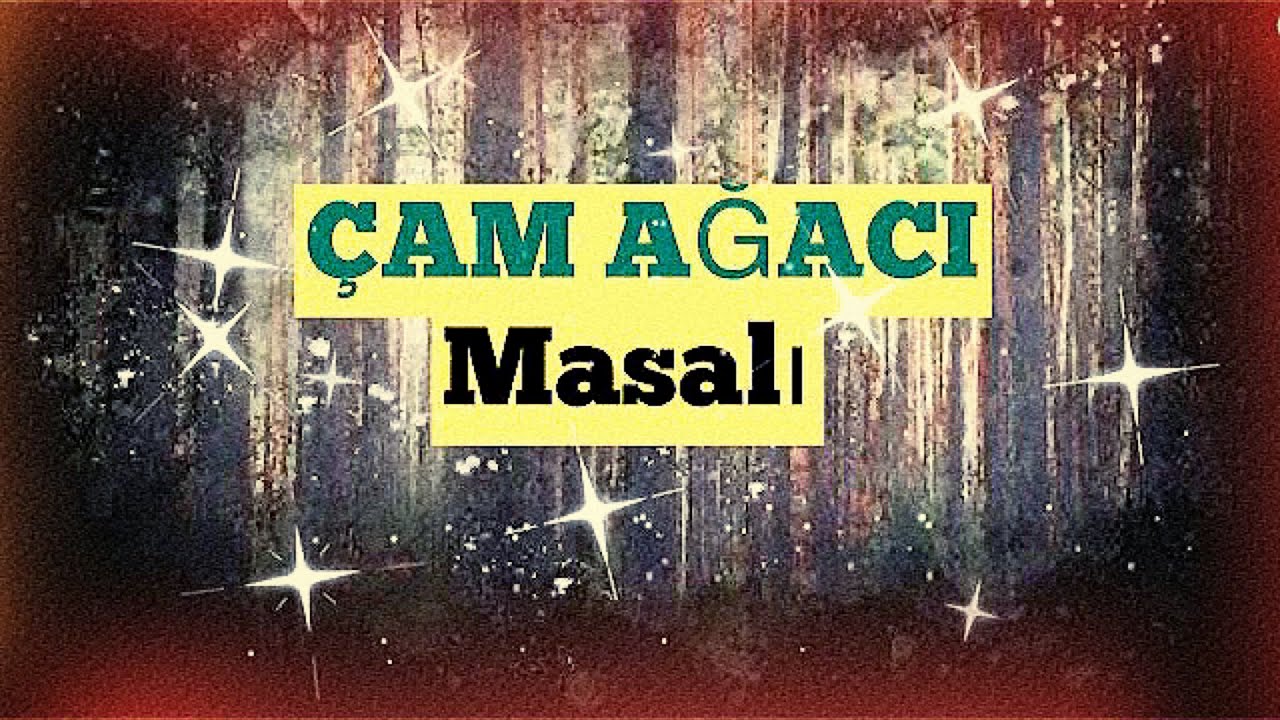 Ebru Soyuerden'in Sesinden | ÇAM AĞACI masalı | Uyku Masalları