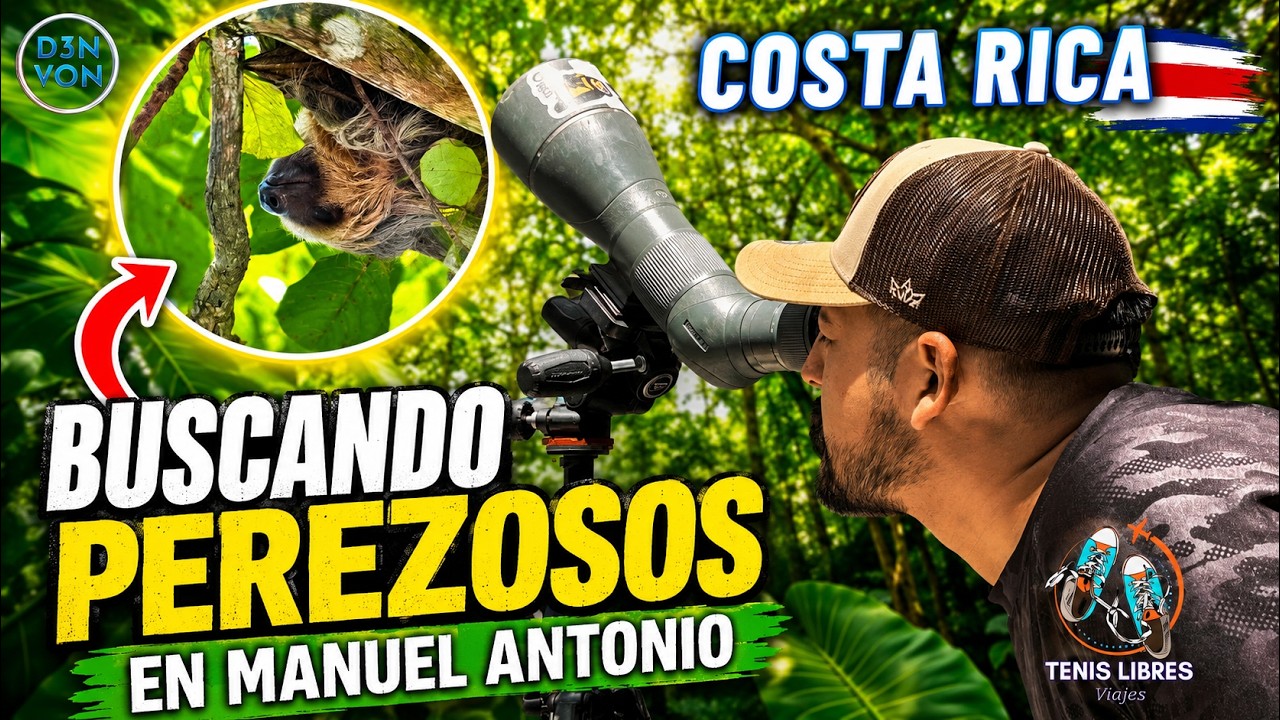 Costa Rica: Buscando perezosos en Manuel Antonio.