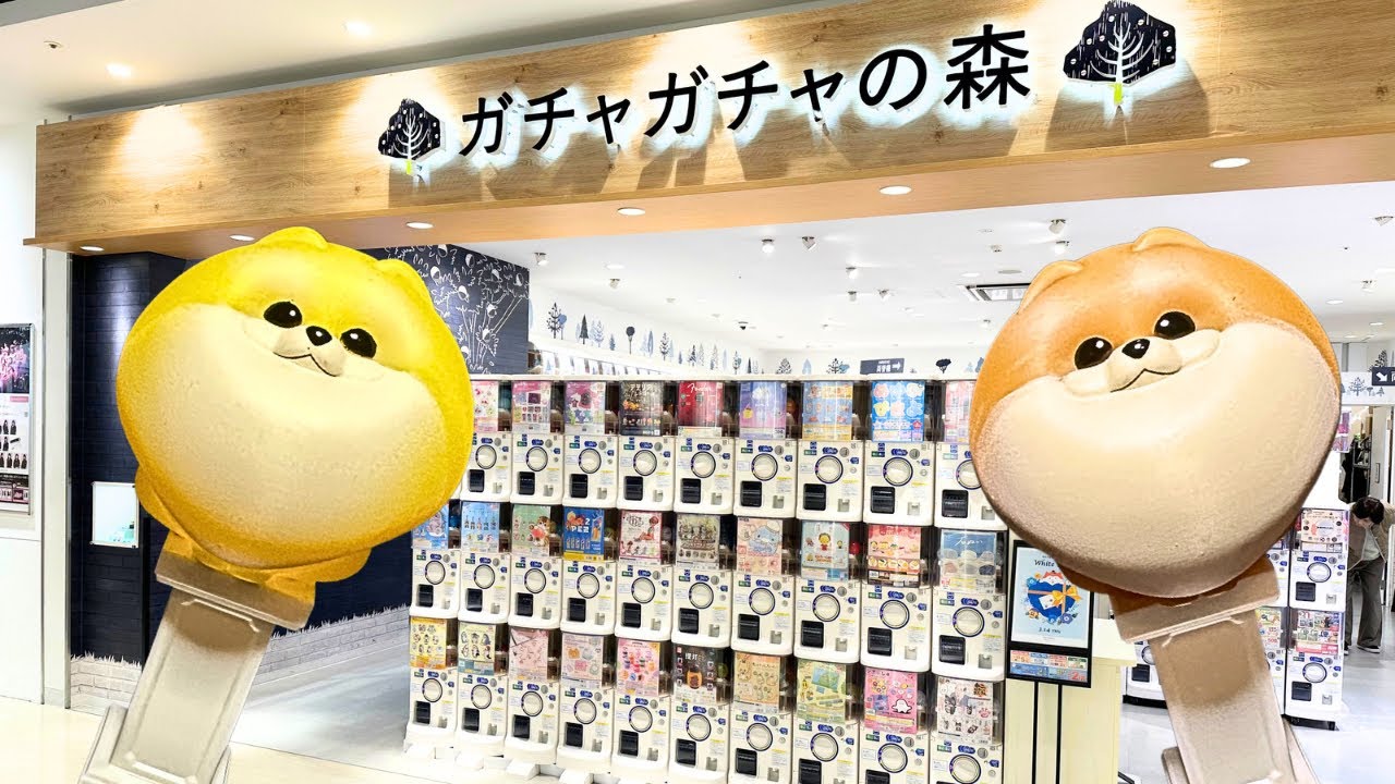 【ガチャ活】ガチャガチャの森で40連！動物まみれのイオンモール岡山！