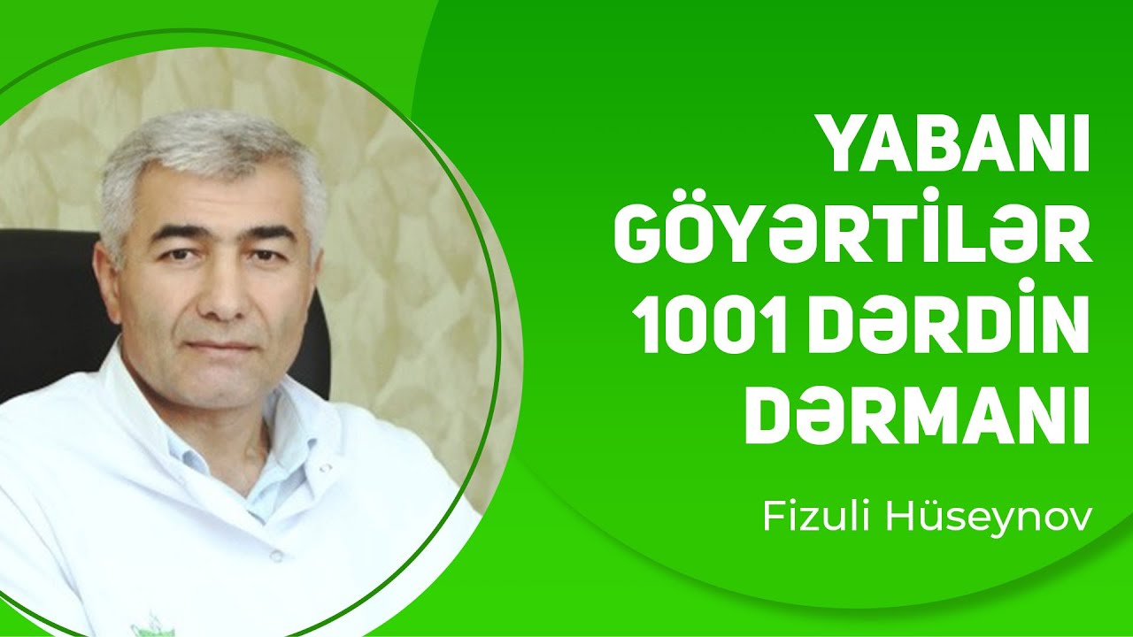Yabanı göyərtilər - min bir dərdin dərmanı | Fizuli Hüseynov