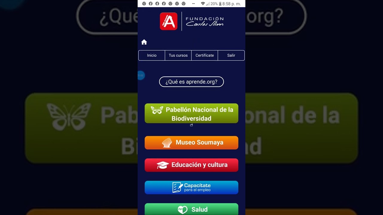 Qu&eacute; es Aprende?. Fundaci&oacute;n Carlos Slim