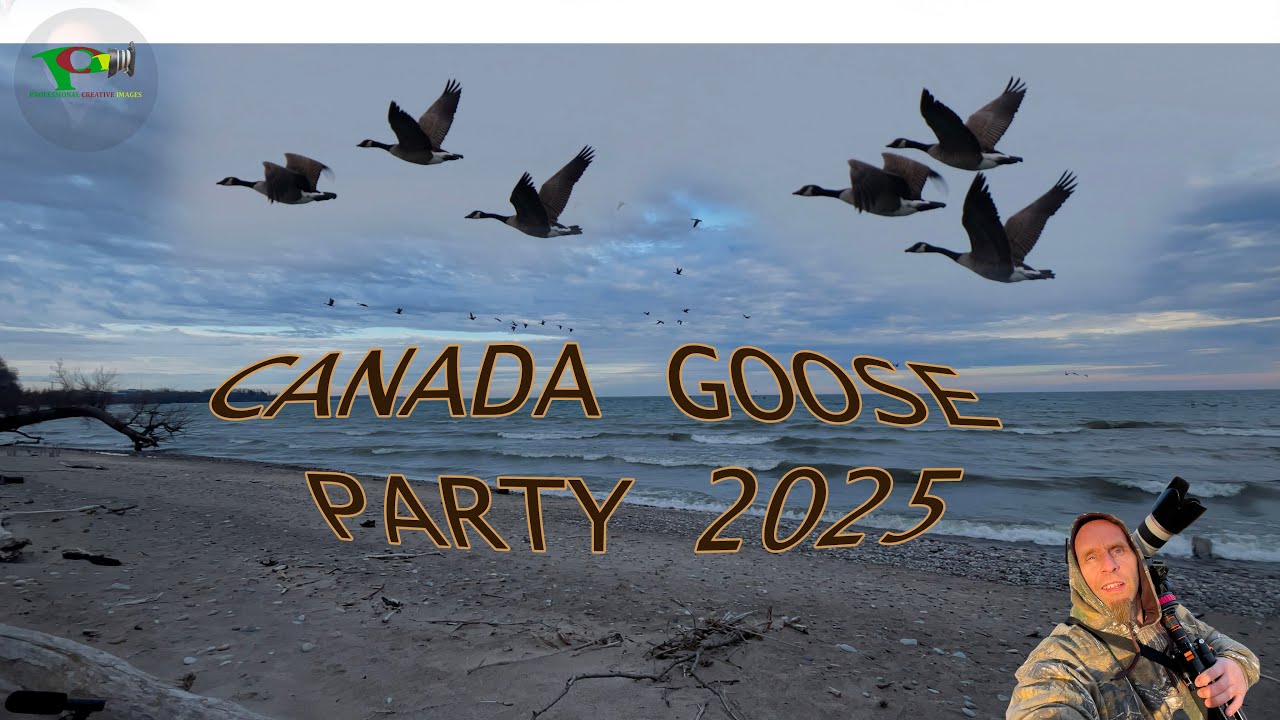 Canada Goose Party - Dec 