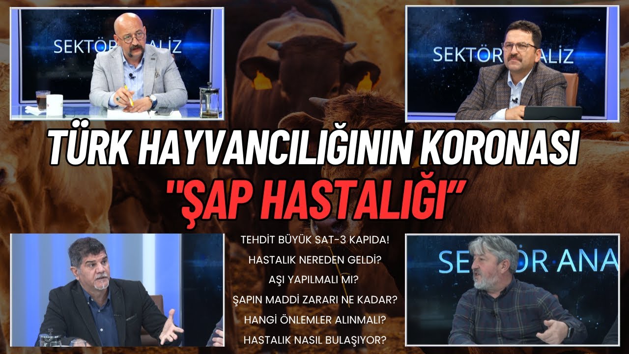 TÜRK HAYVANCILIĞININ KORONASI 