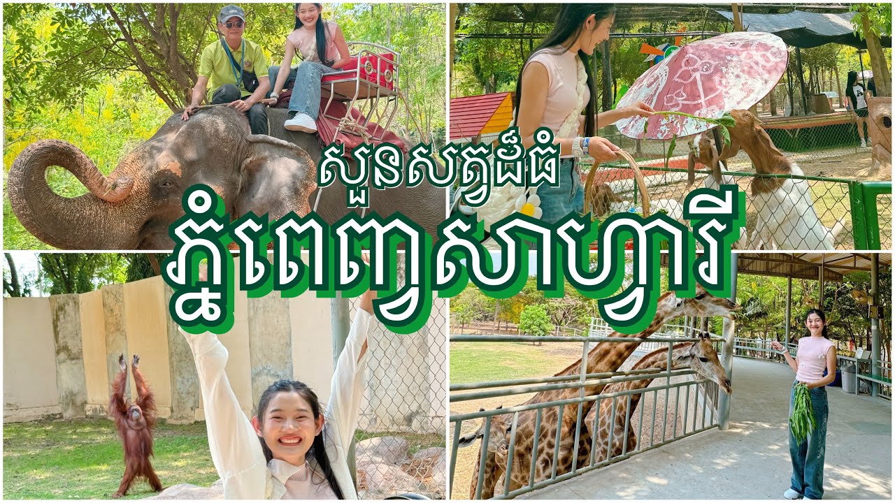 សួនសត្វភ្នំពេញសាហ្វារី - Phnom Penh Safari