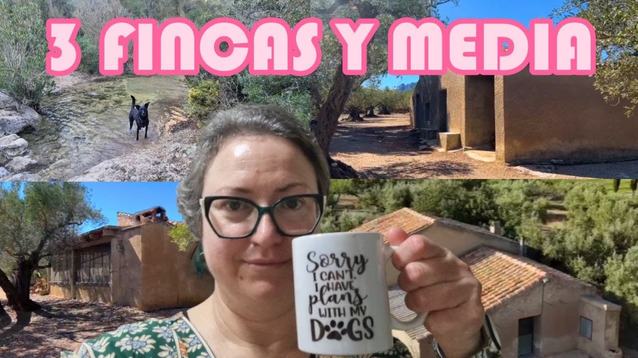 Vlog: acompáñame a visitar 3 fincas para comprar (y casi otra)