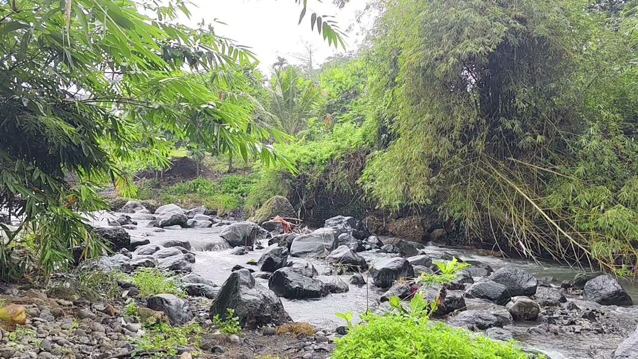 Running Water and Bird Sounds for Natural Relaxation | Deep Sleep Therapy Study Focus Ambient Nature