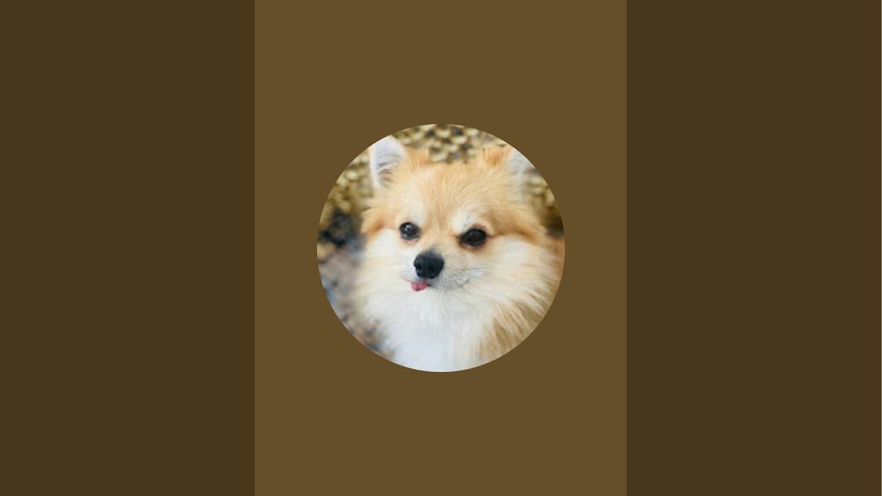 بچه ها خوبین چه خبر😍🙏