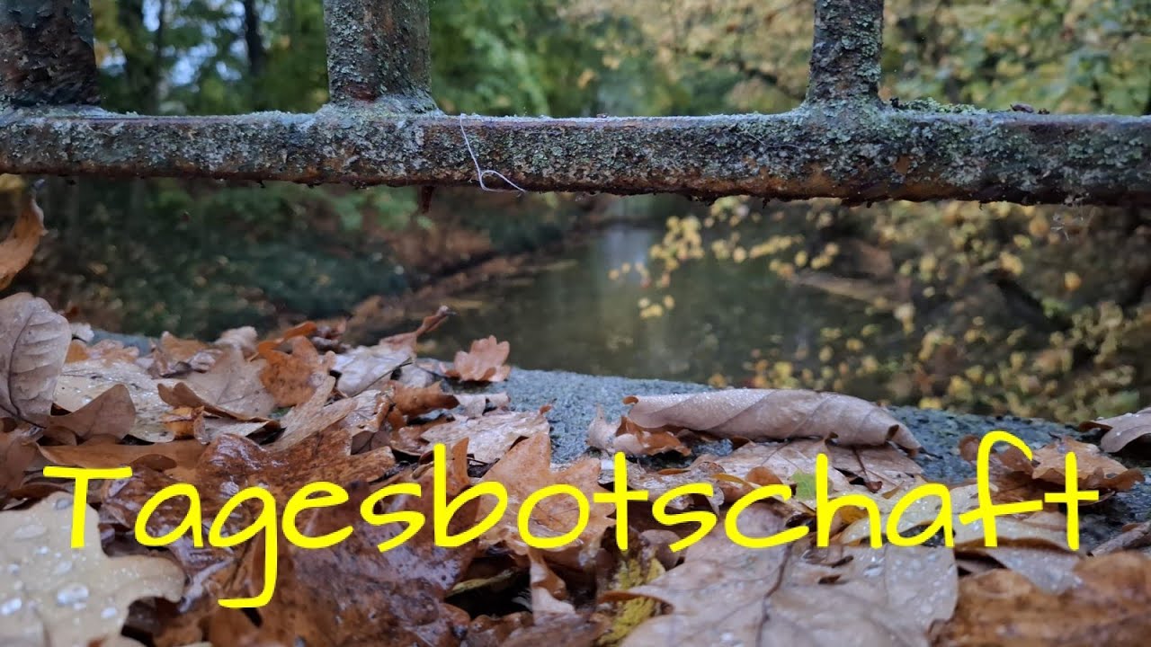 Tagesbotschaft*zeitlos* 