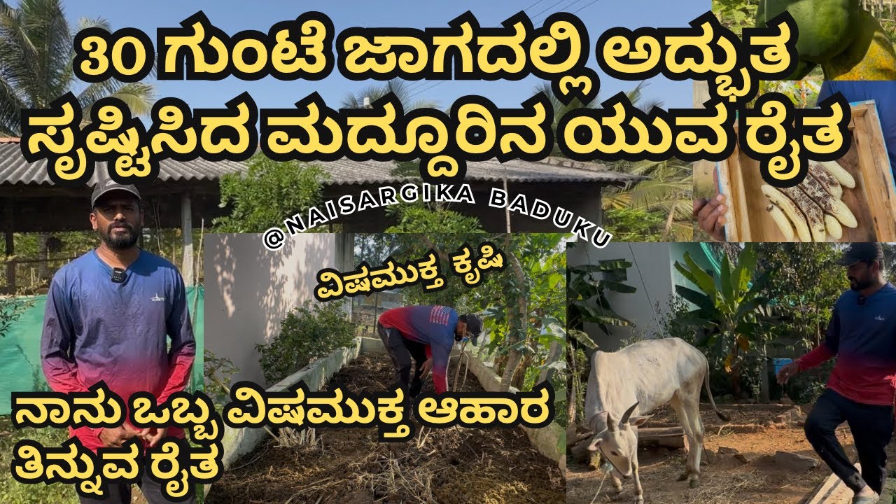 30 ಗುಂಟೆ ಜಾಗದಲ್ಲಿ ಅದ್ಭುತ ಸೃಷ್ಟಿಸಿದ ಮದ್ದೂರಿನ ಯುವ ರೈತ| ಸಮಗ್ರ ಕೃಷಿ | Integrated Farming | 🇮🇳💛❤️