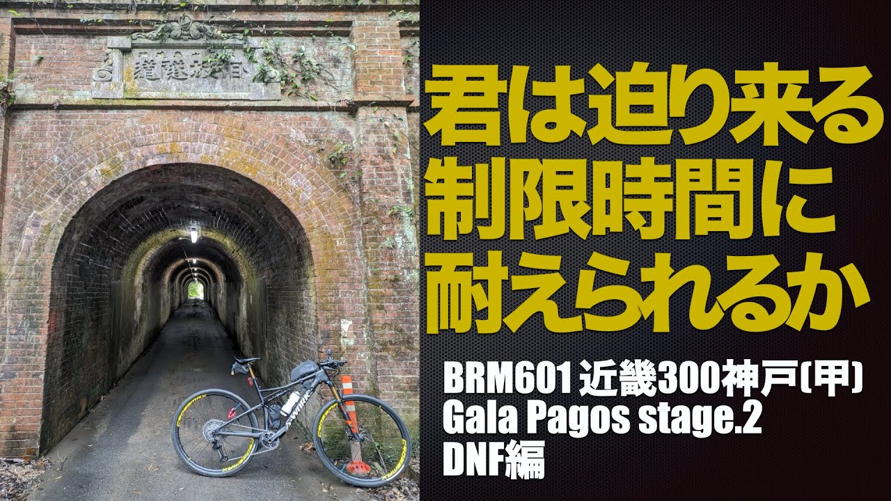 【ブルベ】BRM601神戸300(甲) GaraPagos stage.2 DNF編　神戸発 超キツいブルベに参加して散ったMTBerの物語