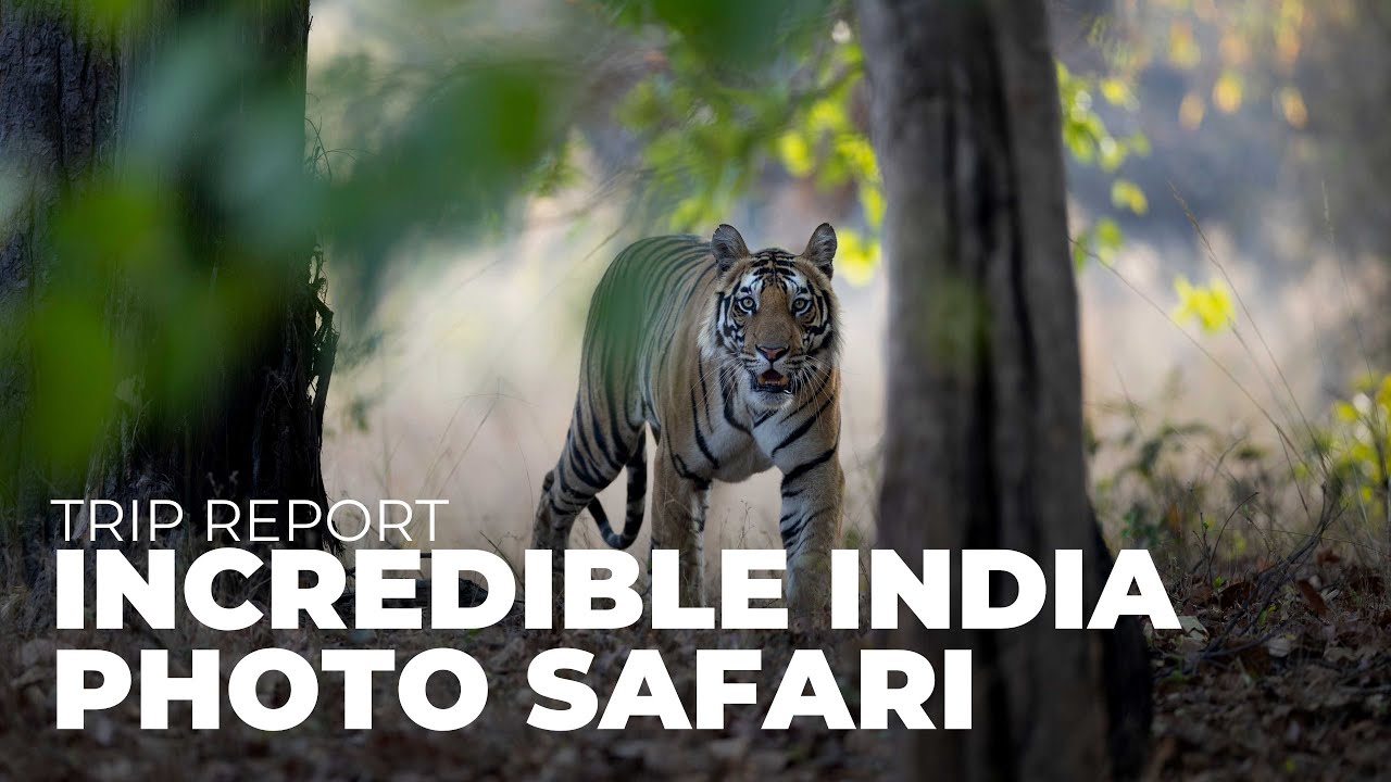 Incredible India Photo Safari 2025