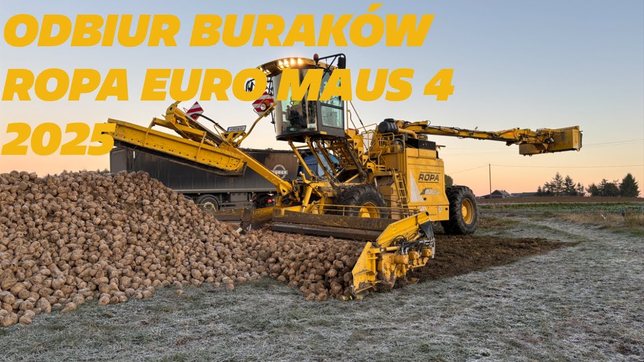 ODBIÓR ✔ BURAKÓW 2025✔ Z FIRMĄ ✔KORDOWSKI✔ ROPA ✔ EURO✔  MAUS✔  4