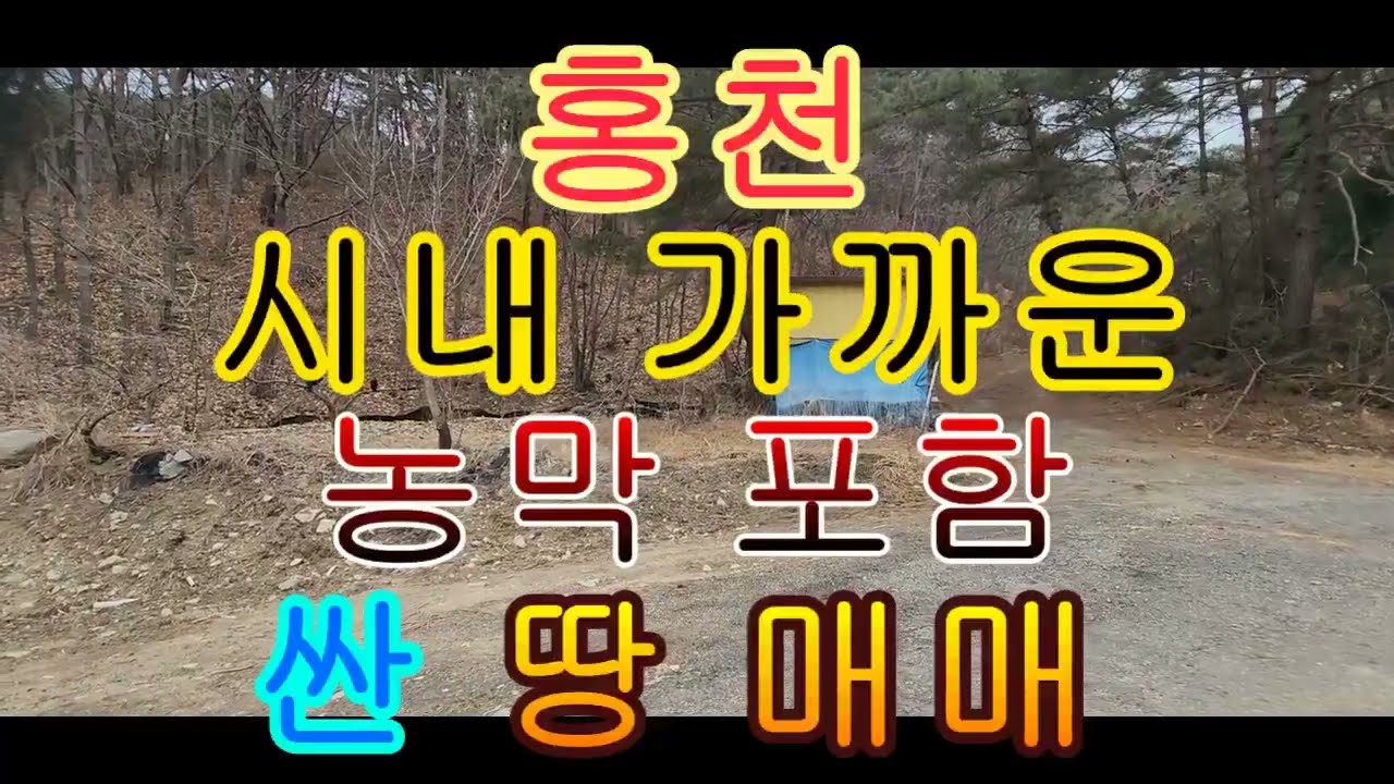 홍천 시내 가까운 농막 포함 싼 땅 매매 3005제곱 909평 5천만