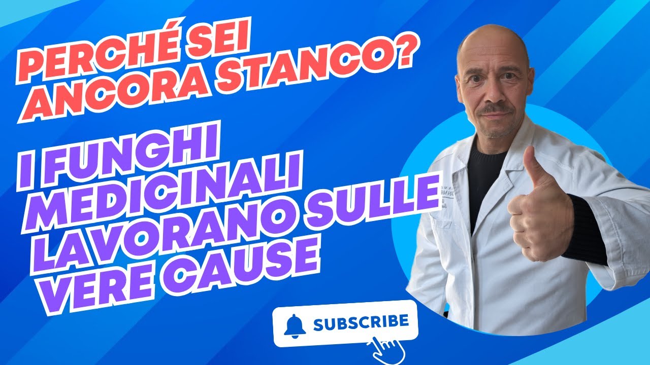 Perché sei ancora stanco? I funghi lavorano sulle vere cause