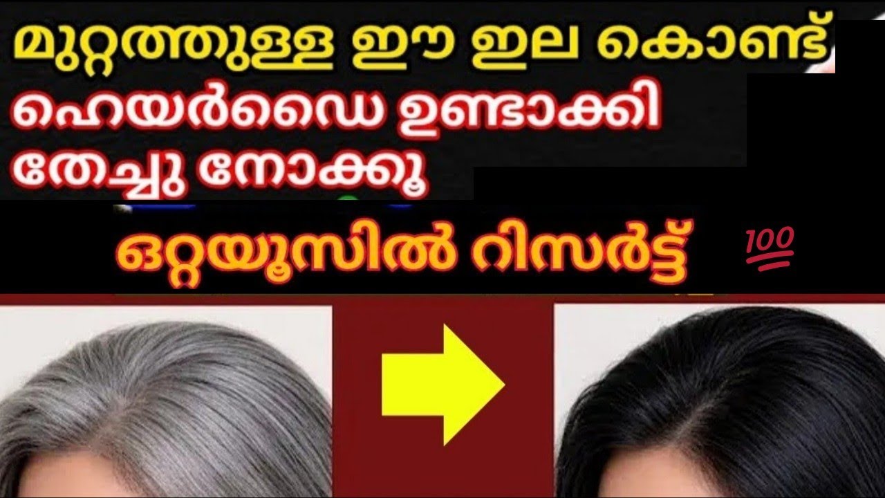 ആയുർവേദ ഡോക്ടർ പറഞ്ഞ ഒരു സൂത്രം, ഇനി എത്ര നരച്ച മുടിയും കറുപ്പിക്കാം | 4| Natural hair dye 
